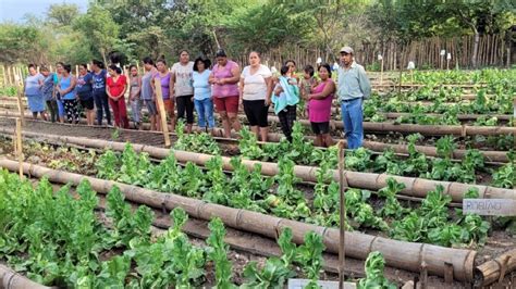 Familias De El Progreso Se Capacitan En Seguridad Alimentaria Agencia