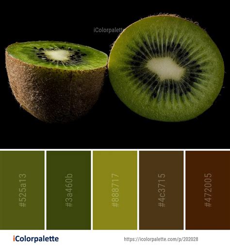 5 Kiwi Color Palette ideas in 2024 | iColorpalette