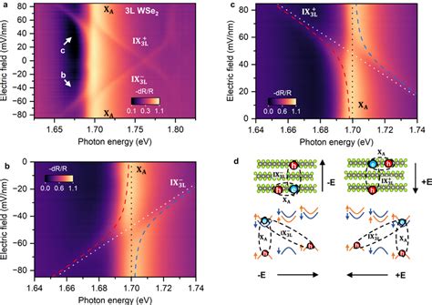 Interlayer And Intralayer Exciton Hybridization In Natural Trilayer