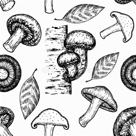 Mushrooms Seamless Pattern Hand Drawn Vintage Vector Illustration Art Forest Types Of