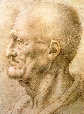 Leonardo da Vinci Drawings