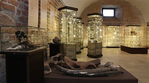 Muzeum Zamkowe W Sandomierzu Ziemia Sandomierska W Pradziejach I