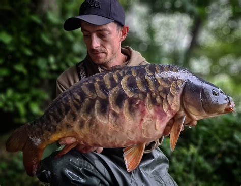 Kinghorn Loch - Scottish Carp Group