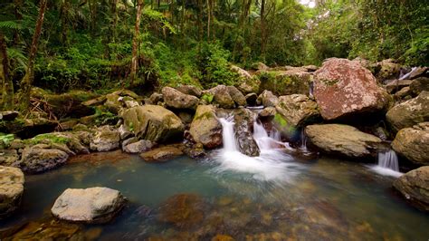 Top 20 El Yunque National Forest, PR house rentals from $57/night | Vrbo