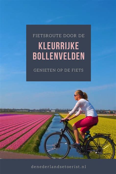 Fietsroute Door De Bollenstreek Lisse Voorhout En Noordwijk In