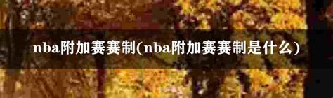 Nba附加赛赛制 Nba附加赛赛制是什么 体坛百科