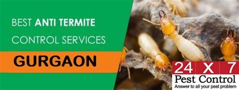 Get The Most Reliable Termite Control In Gurgaon X Pest Flickr