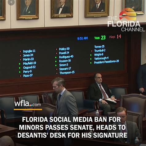 Florida Proposes Social Media Ban for Users Under 16 to Protect Youths ...