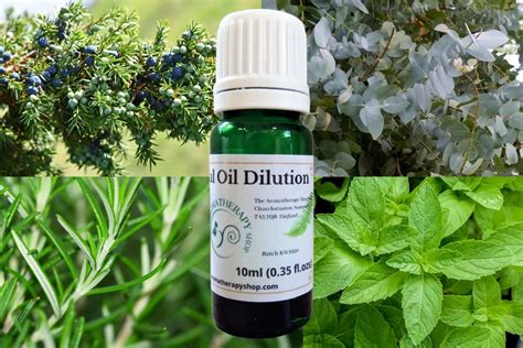 Mint Rosemary Juniperberry And Eucalyptus Oil Essential Oil Blend 10ml 035 Flozs The