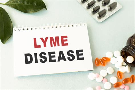 Lyme Disease 10 Signs You Should Not Ignore Health Clarified