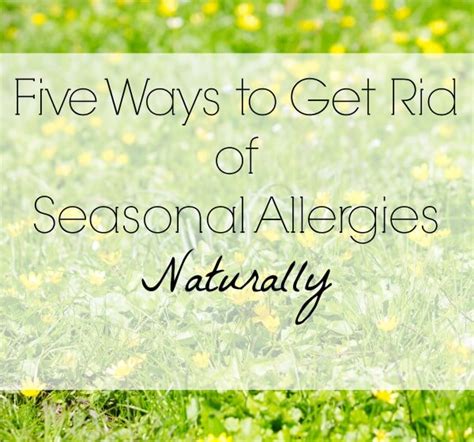 5 Ways To Get Rid Of Seasonal Allergies Naturally Life Made Full