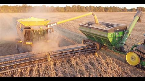 2021 Minnesota Soybean Harvest YouTube