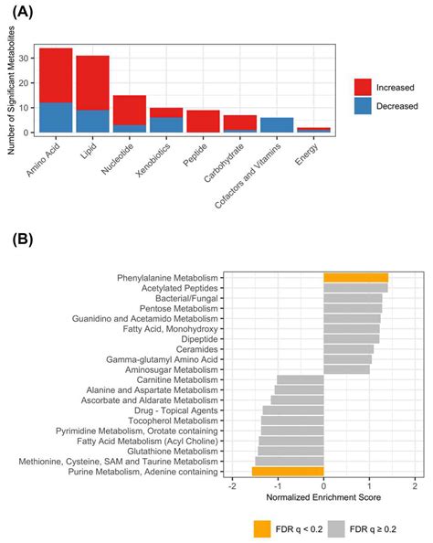 Untargeted Analysis of Serum Metabolomes in Dogs with Exocrine Pancreatic Insufficiency