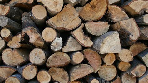 How To Pick The Best Firewood For Clean Burning Long Lasting Fires