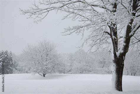 Snowy winter landscape, cape Elizabeth, Maine Stock Photo | Adobe Stock