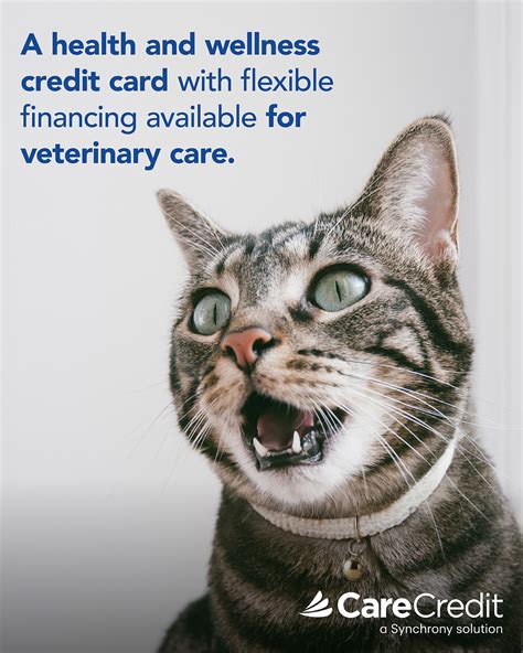 VCA Sawmill Animal Hospital | Columbus OH