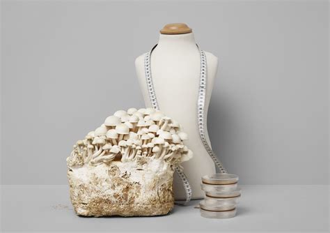 Sustainable Fashion Will Soon Use High-tech Mycélium Champignon - RYZE Superfoods