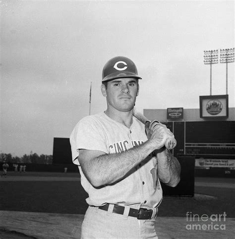 Portrait Of Pete Rose 1 By Bettmann