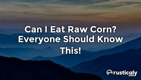 Can I Eat Raw Corn? Everyone Should Know This!