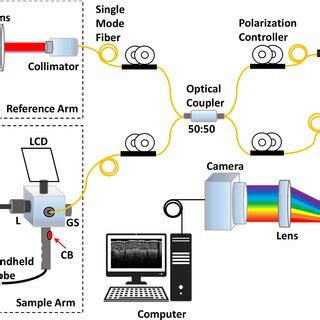 Schematic Of The Spectral Domain Optical Coherence Tomography Sd Oct