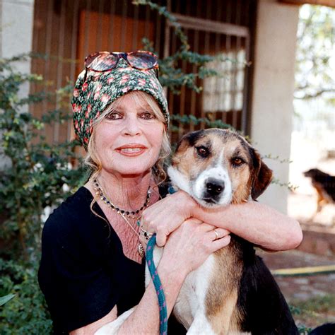 Kim Novak recibirá el León de Oro del Festival de Venecia 2025: “Es un