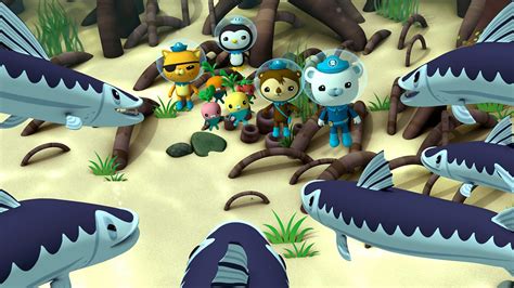 BBC IPlayer Octonauts Series 3 9 Barracudas