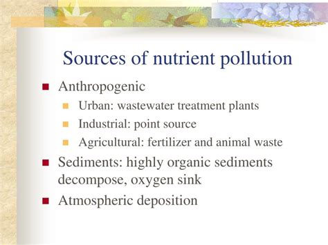 Ppt The Effects Of Nutrient Pollution On The Neuse River Estuary