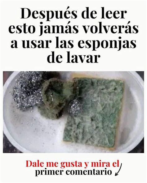 DESPUÉS DE LEER ESTO JAMÁS VOLVERÁS A USAR LAS ESPONJAS DE LAVAR