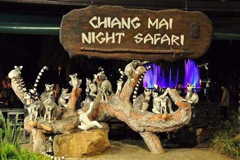 Chiang Mai Night Safari Tour