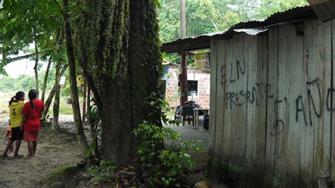 Arauca Bajo Un Conflicto Armado M S All De Las Drogas Il Citas