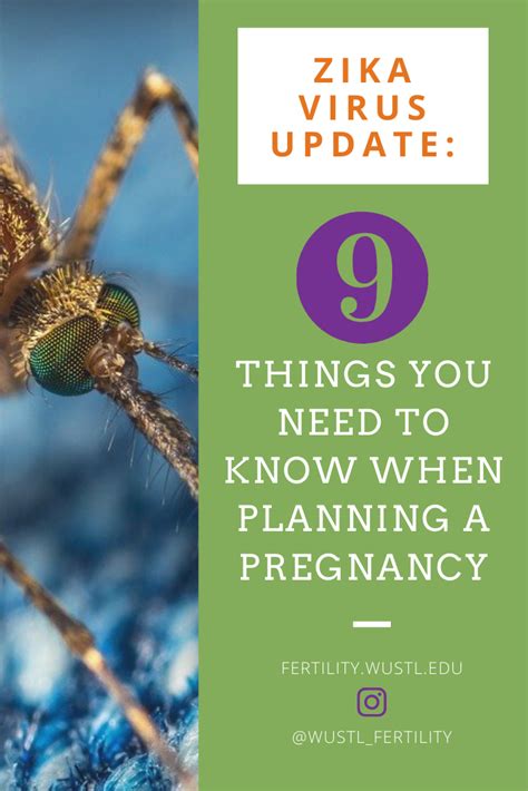 Zika Virus Update Things You Need To Know When Planning A Pregnancy