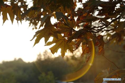 Autumn Scenery In Islamabad Pakistan Global Times