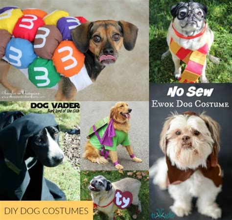 DIY Dog Costumes - Carrie Elle