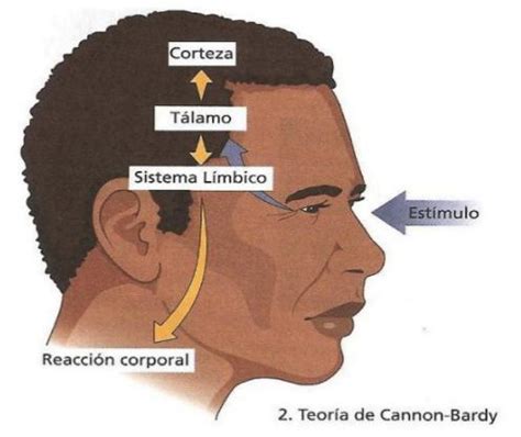 Teorías Cognitivas de la Emoción