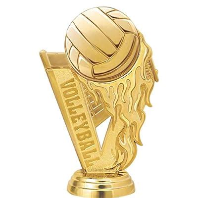 Crown Awards Volleyball Trophies With Custom India Ubuy