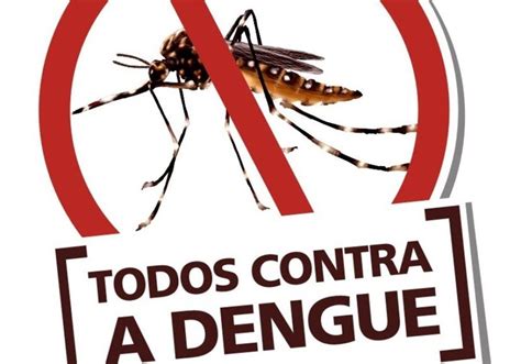 Dia D Contra A Dengue Convoca Popula O A Eliminar Focos Do Mosquito