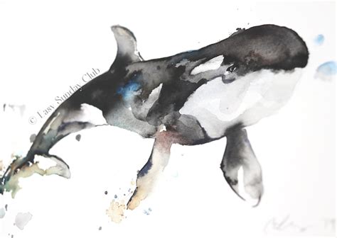 Orca (Killer) Whale Original Watercolor Painting – Easy Sunday Club