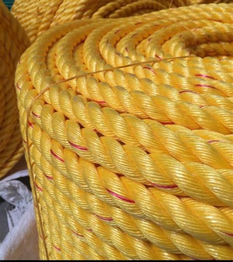 Yellow Danline Polypropylene Rope For Industrial At Rs Kg In Mahuva