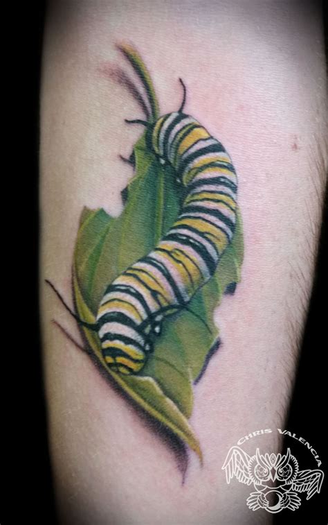 chrisvalencia:caterpillar-monarch-leaf-realistic-color