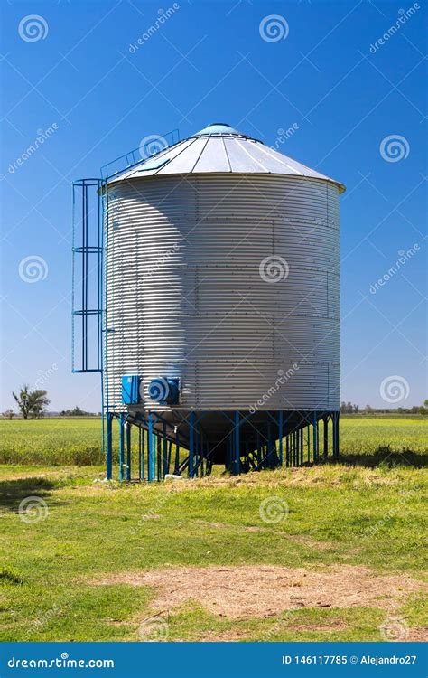 Farm Grain Silo For Agriculture Cylindrical Metal Structure Next To