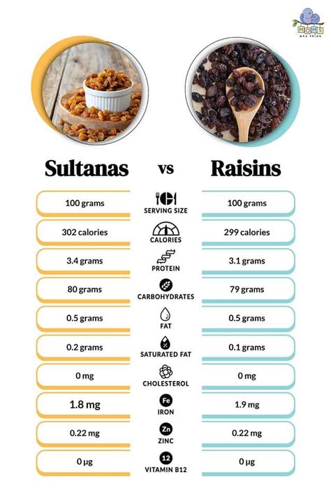 Sultanas vs. Raisins: 5 Key Differences