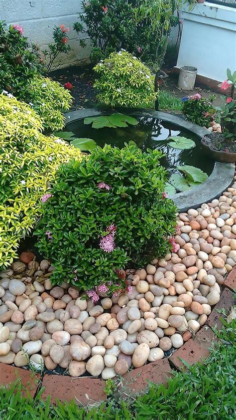 Magnificent small backyard fish pond – Artofit