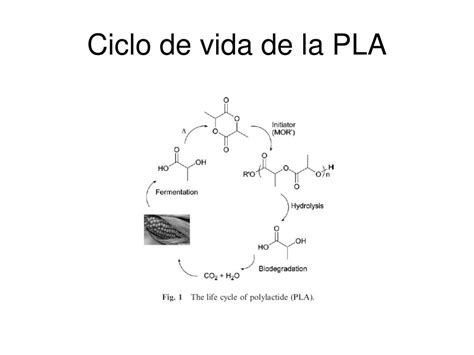 Ppt Procesos CatalÍticos En La SÍntesis De PolÍmeros Biodegradables Powerpoint Presentation