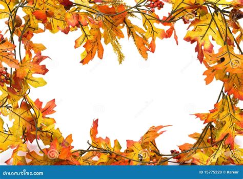 Fall leaves border stock photo. Image of leaf, white - 15775220