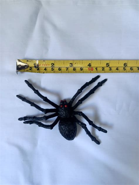 Spider toy, Hobbies & Toys, Toys & Games on Carousell