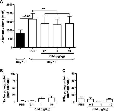 Analysis Of The Antitumor Effect Of Cim In Athymic Nude Nu Nu Mice