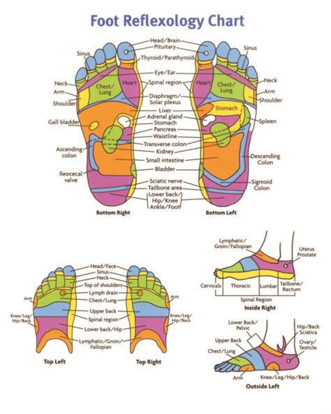 Printable Foot Reflexology Charts Points Health Perks