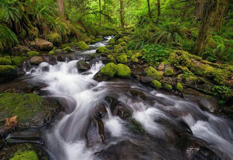 Cold Creek By Michael Bollino On 500px Cold Creek Creek Waterfall