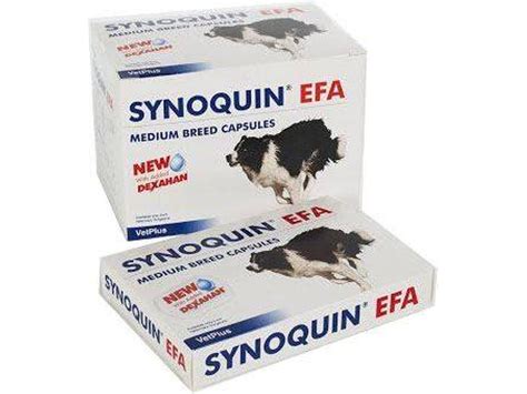 Complemento Alimentar para Cães VETPLUS HastaSynoquin Condroprotector