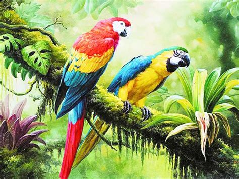 30+ Lukisan Burung Cendrawasih Mengambil Bentuk, Gambar Lukisan